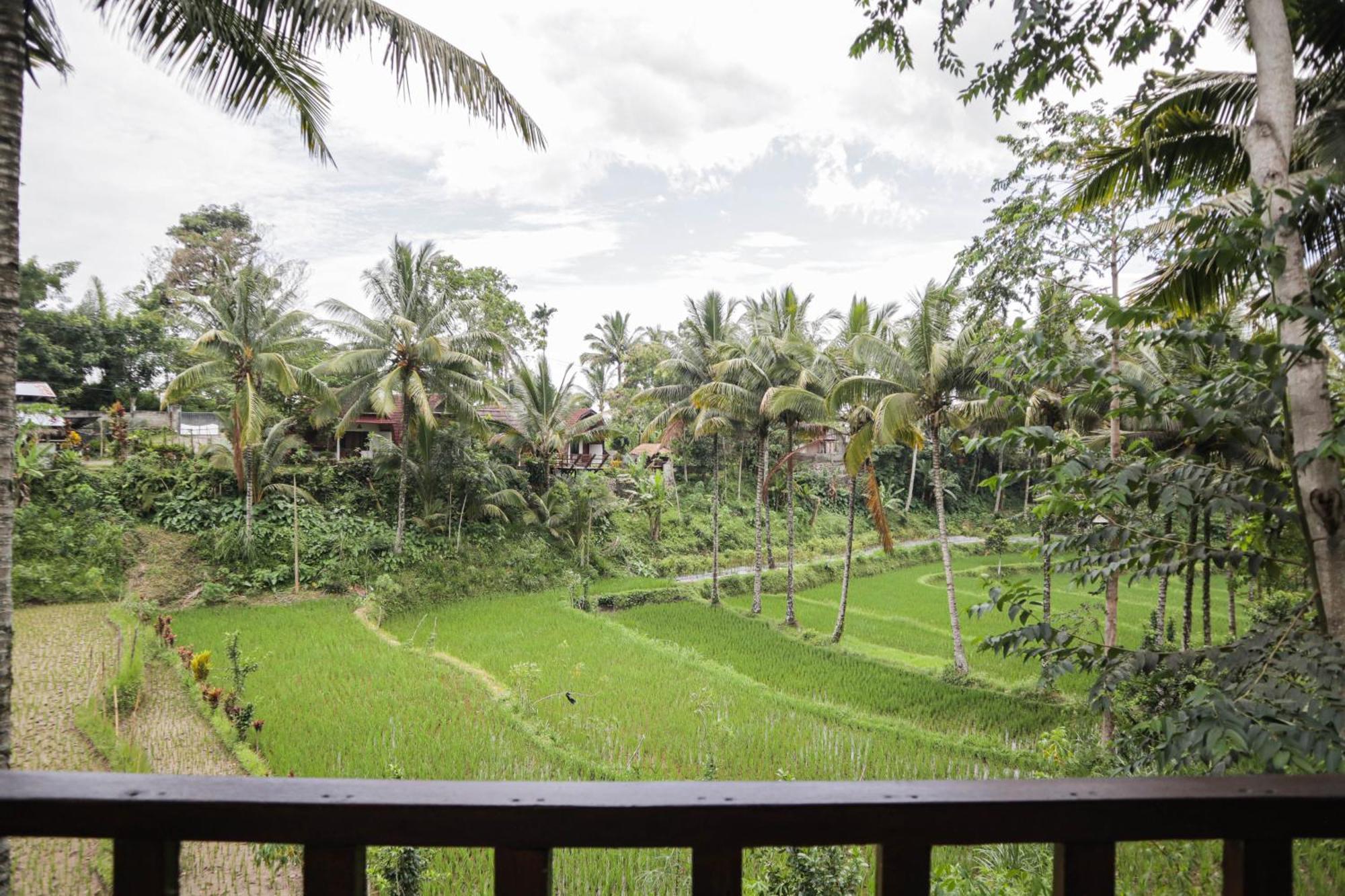 Nea Cottage Lombok Tetebatu Kültér fotó