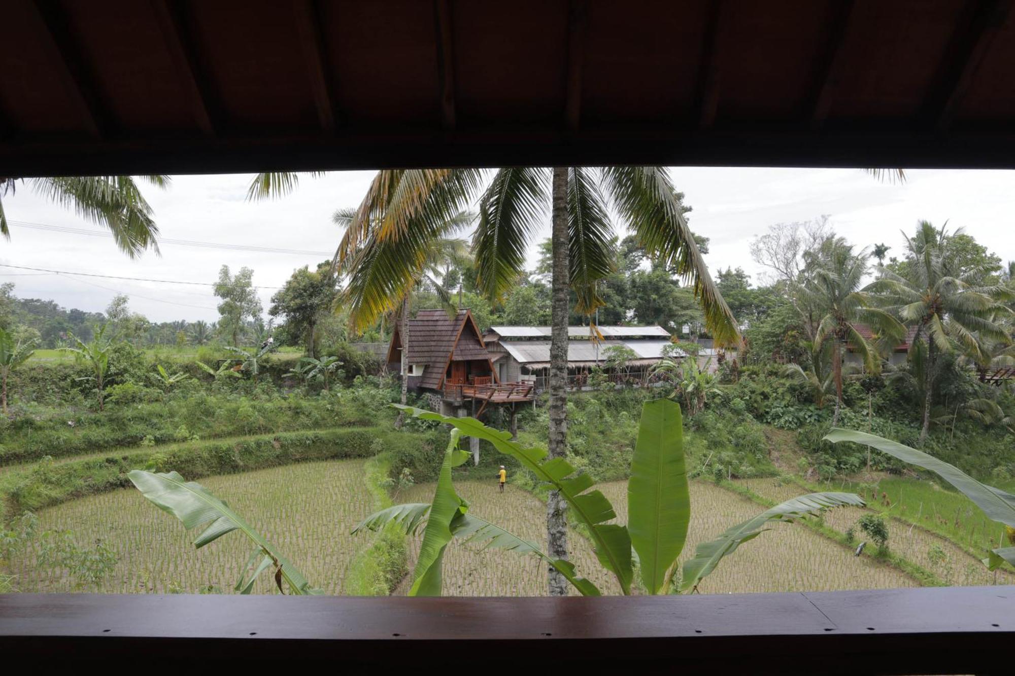 Nea Cottage Lombok Tetebatu Kültér fotó