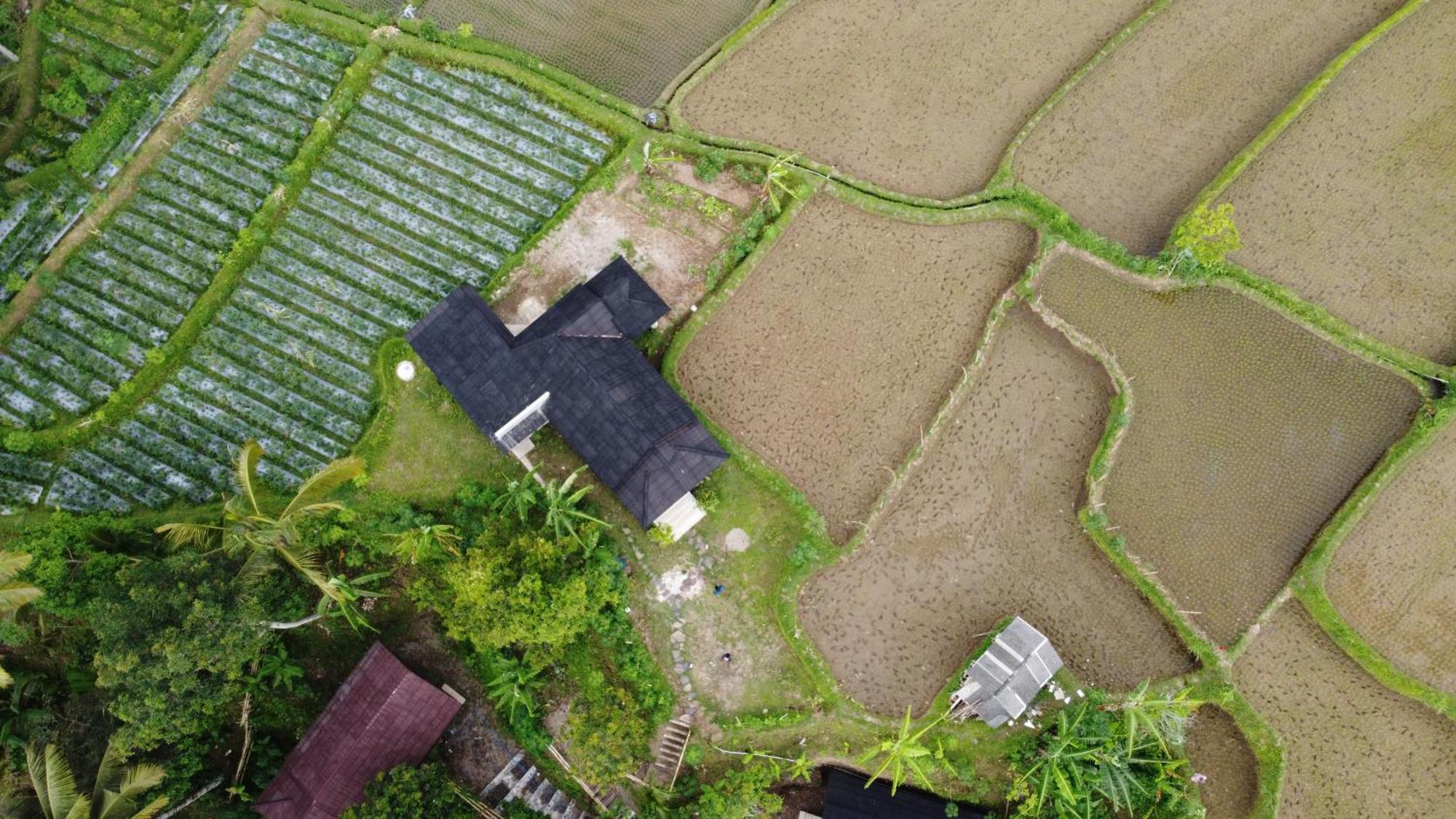 Nea Cottage Lombok Tetebatu Kültér fotó