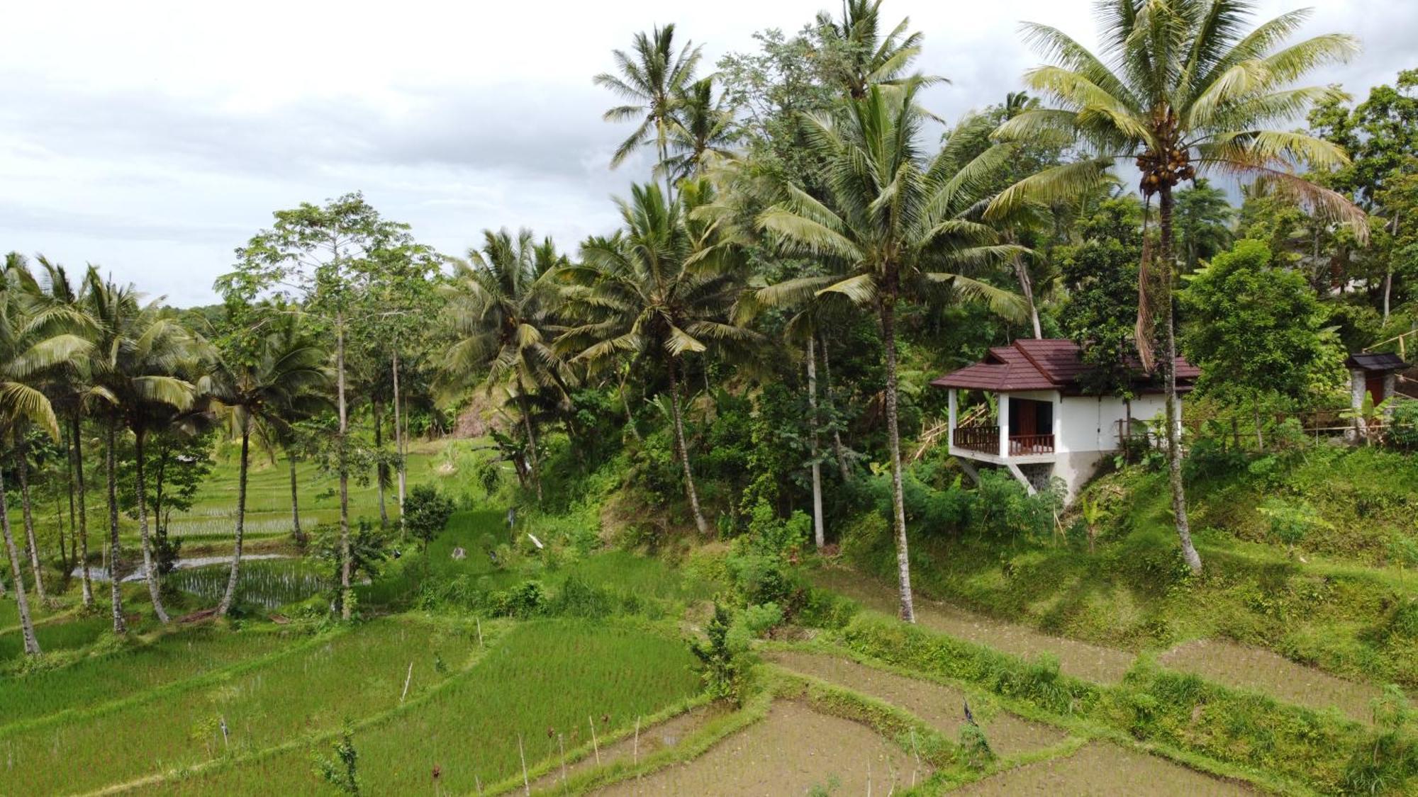 Nea Cottage Lombok Tetebatu Kültér fotó