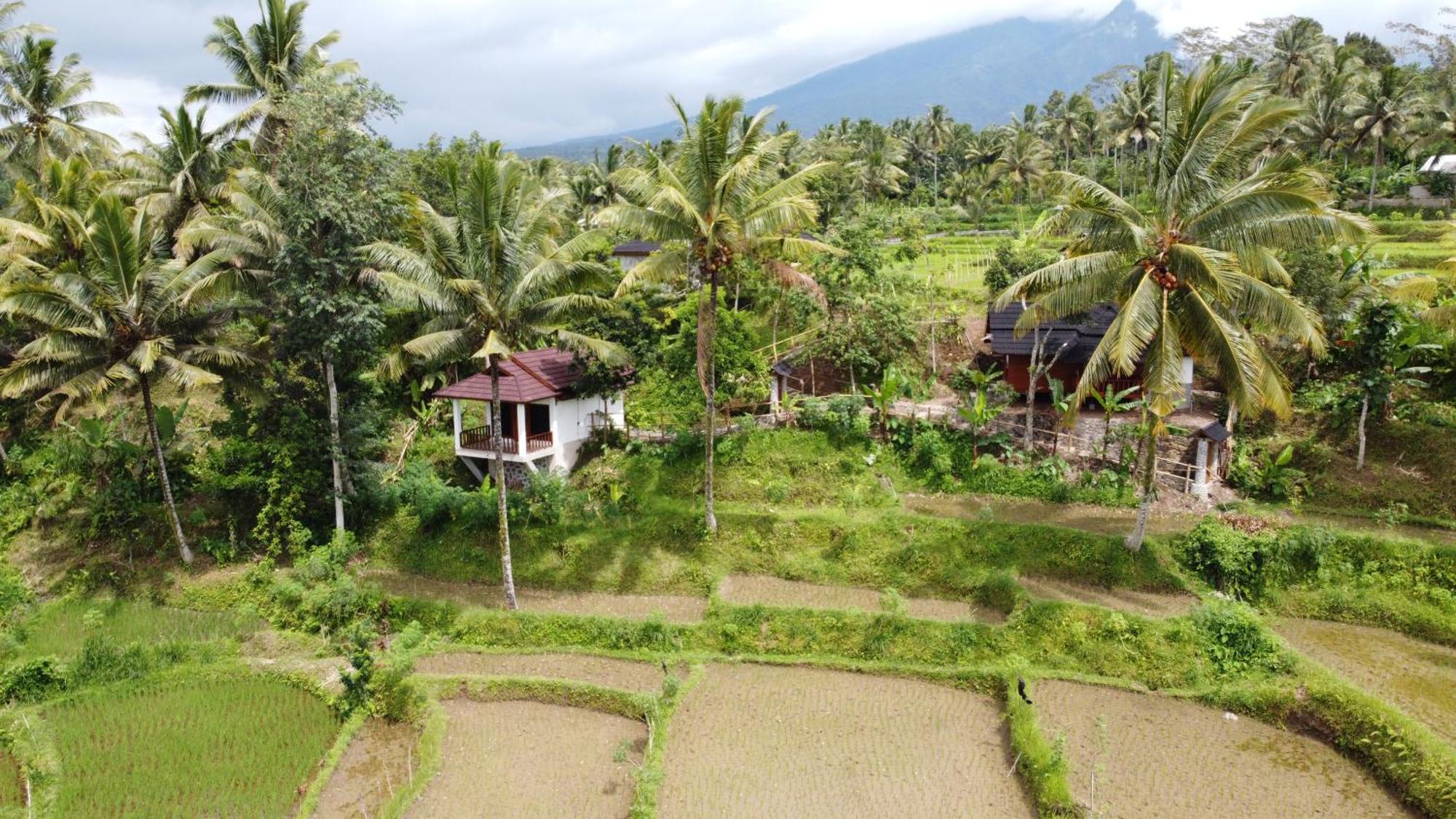 Nea Cottage Lombok Tetebatu Kültér fotó