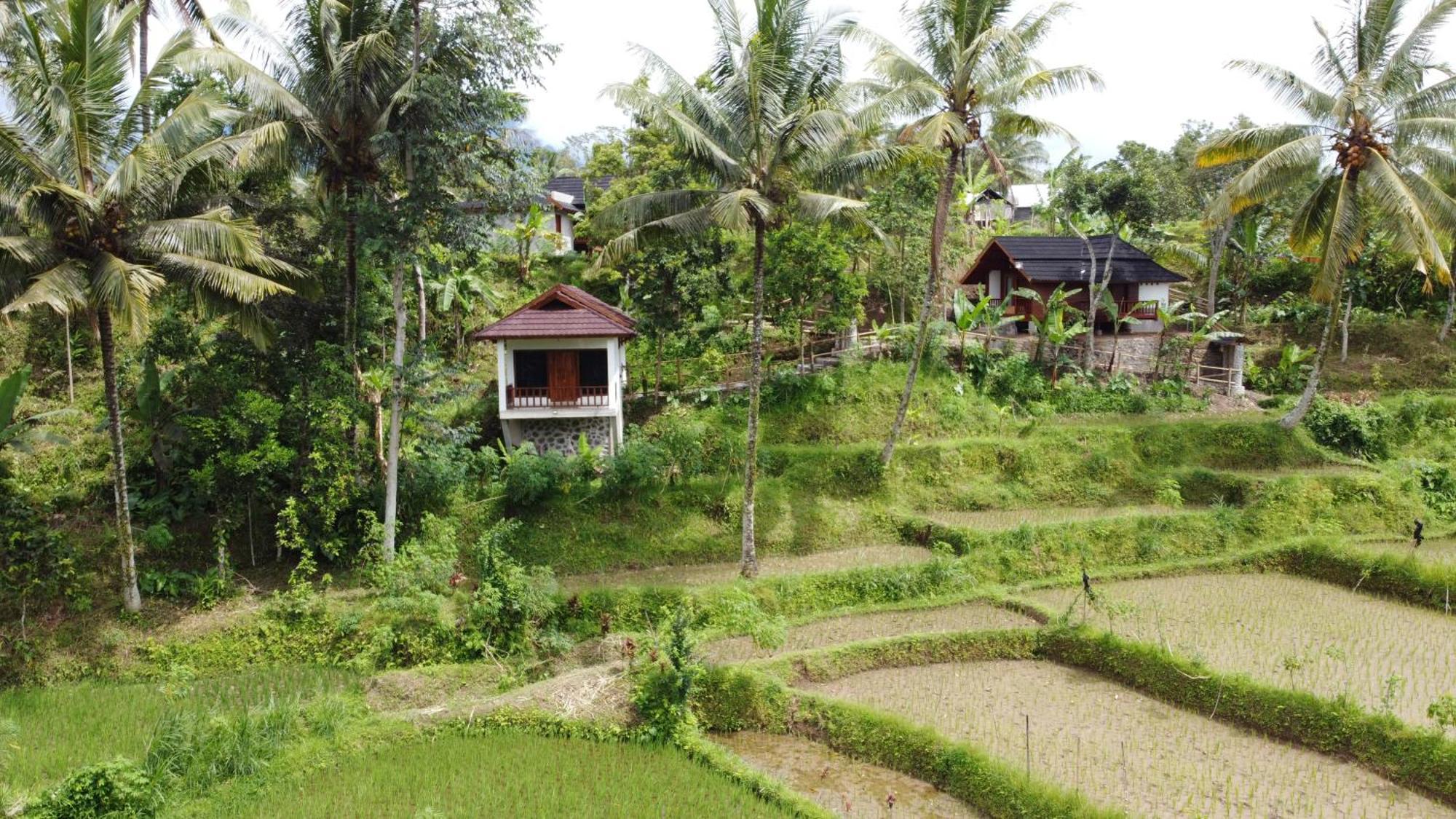 Nea Cottage Lombok Tetebatu Kültér fotó