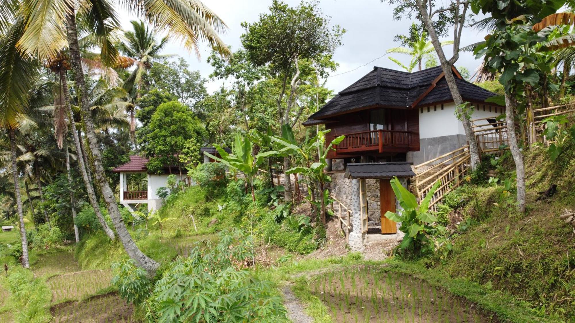 Nea Cottage Lombok Tetebatu Kültér fotó