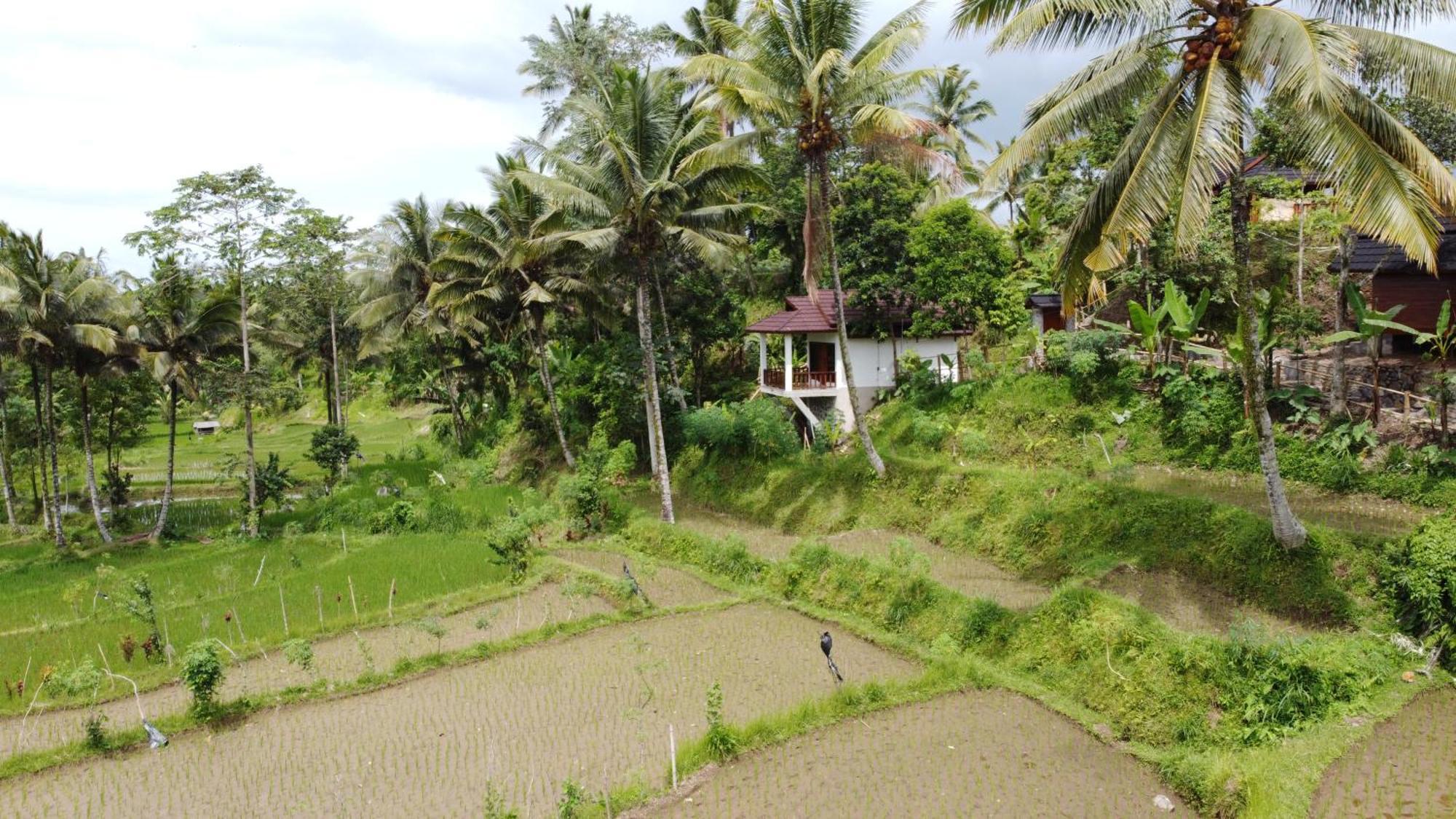 Nea Cottage Lombok Tetebatu Kültér fotó