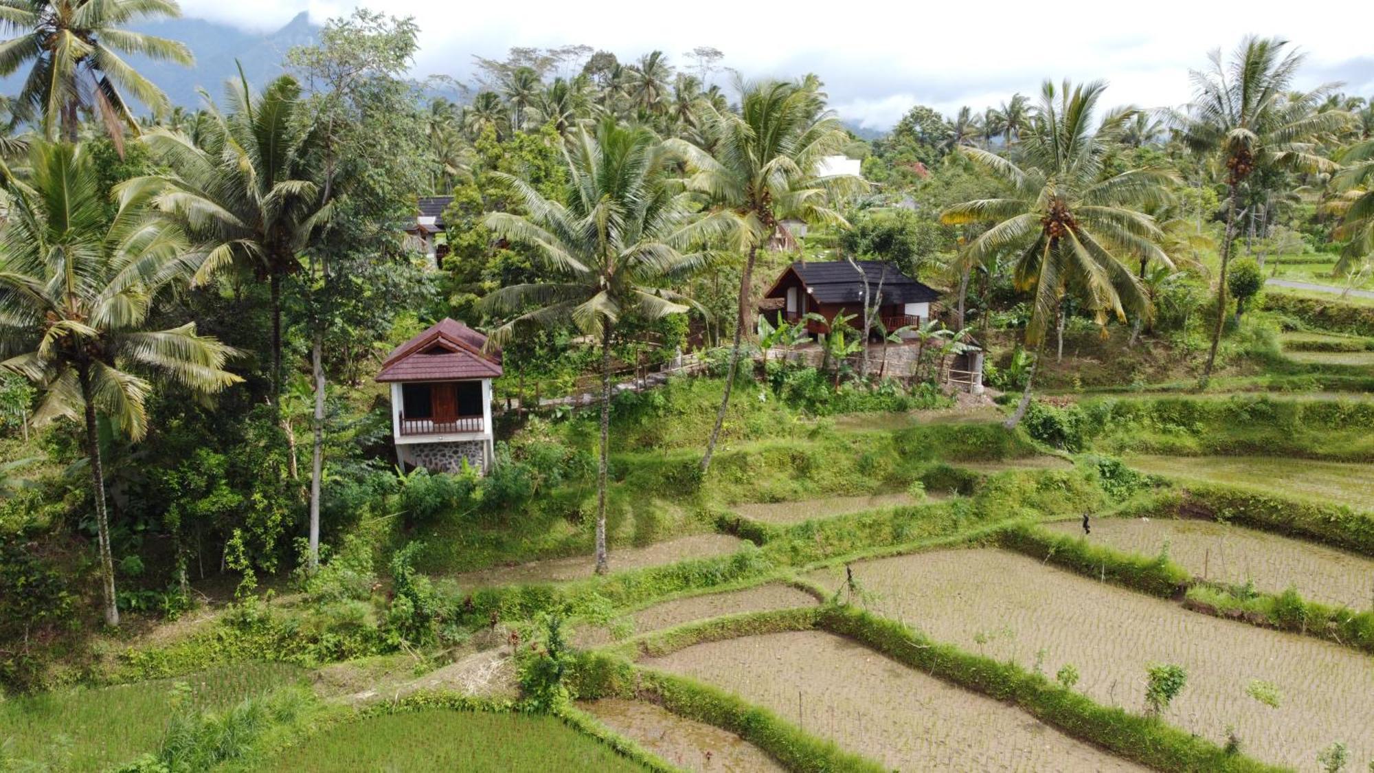 Nea Cottage Lombok Tetebatu Kültér fotó