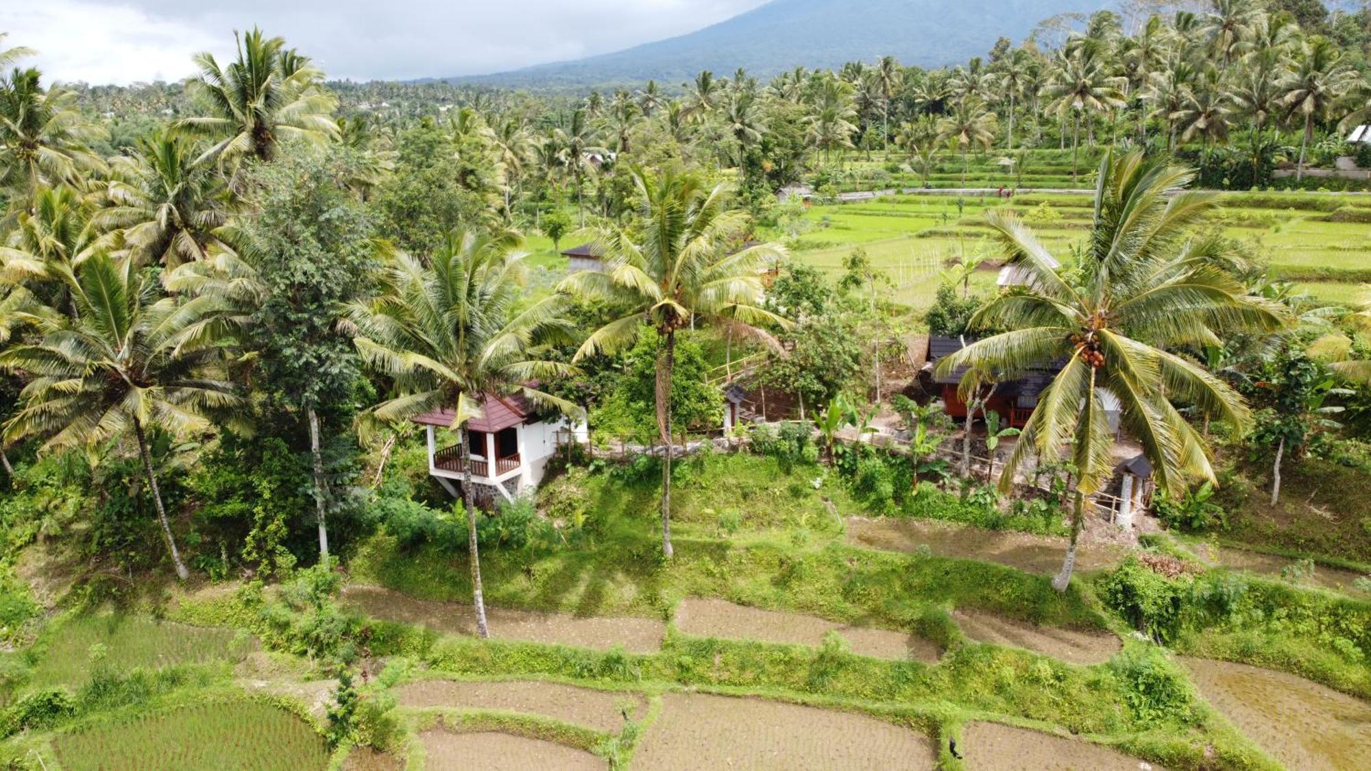 Nea Cottage Lombok Tetebatu Kültér fotó