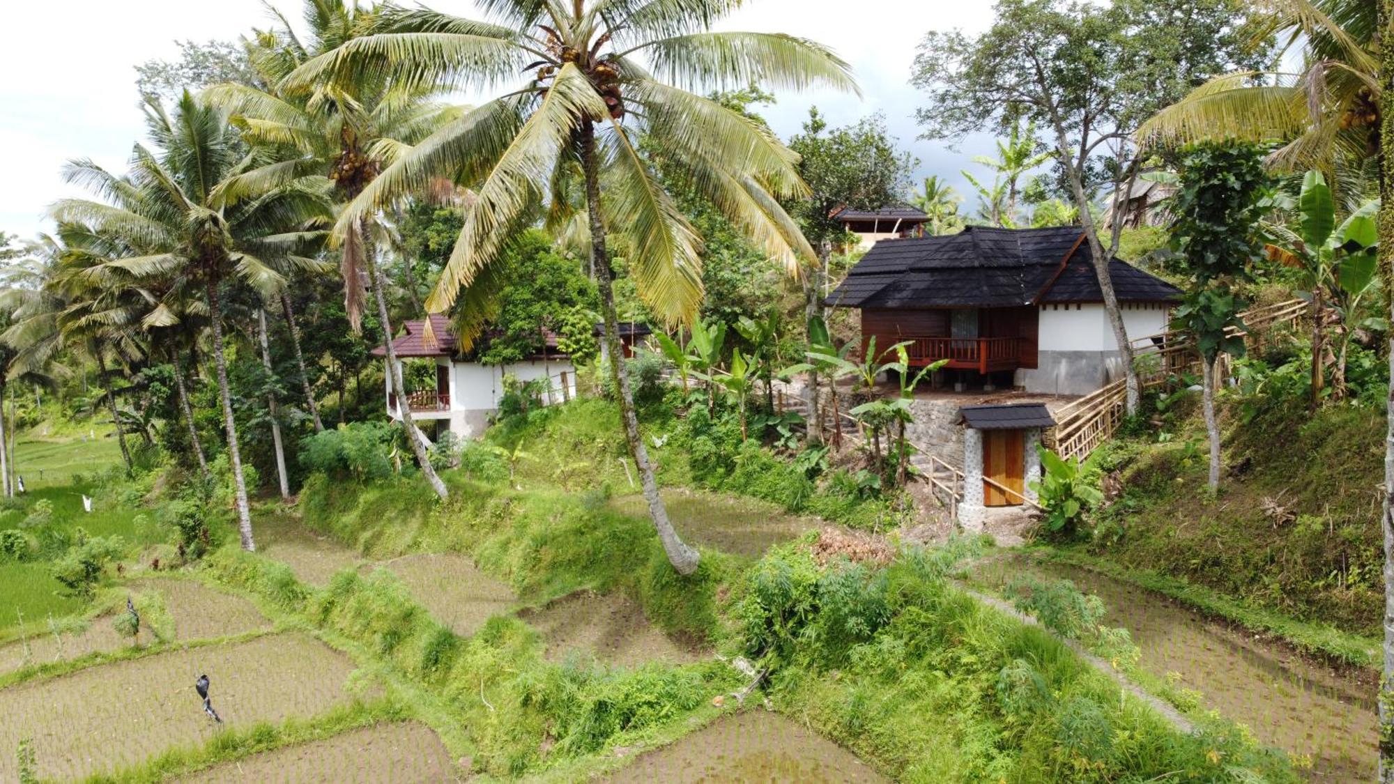 Nea Cottage Lombok Tetebatu Kültér fotó