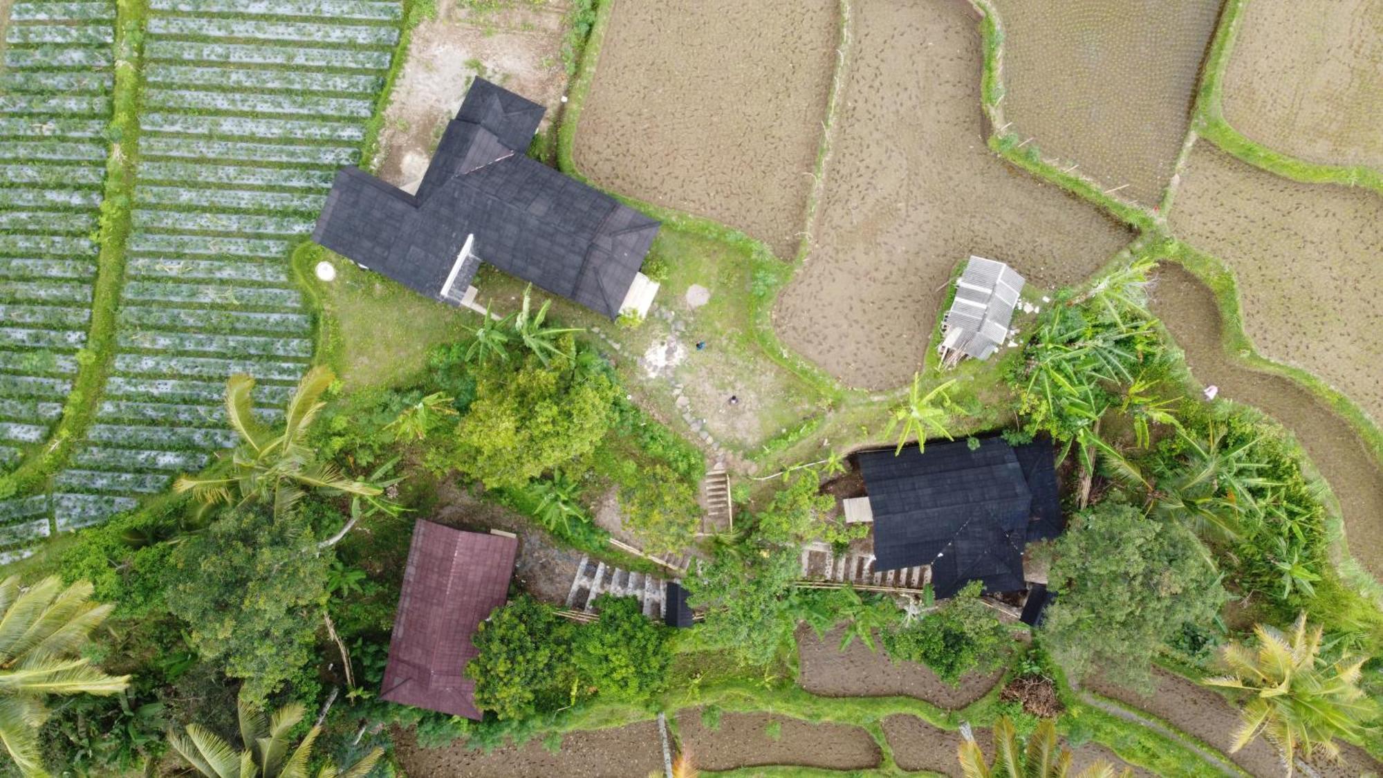 Nea Cottage Lombok Tetebatu Kültér fotó