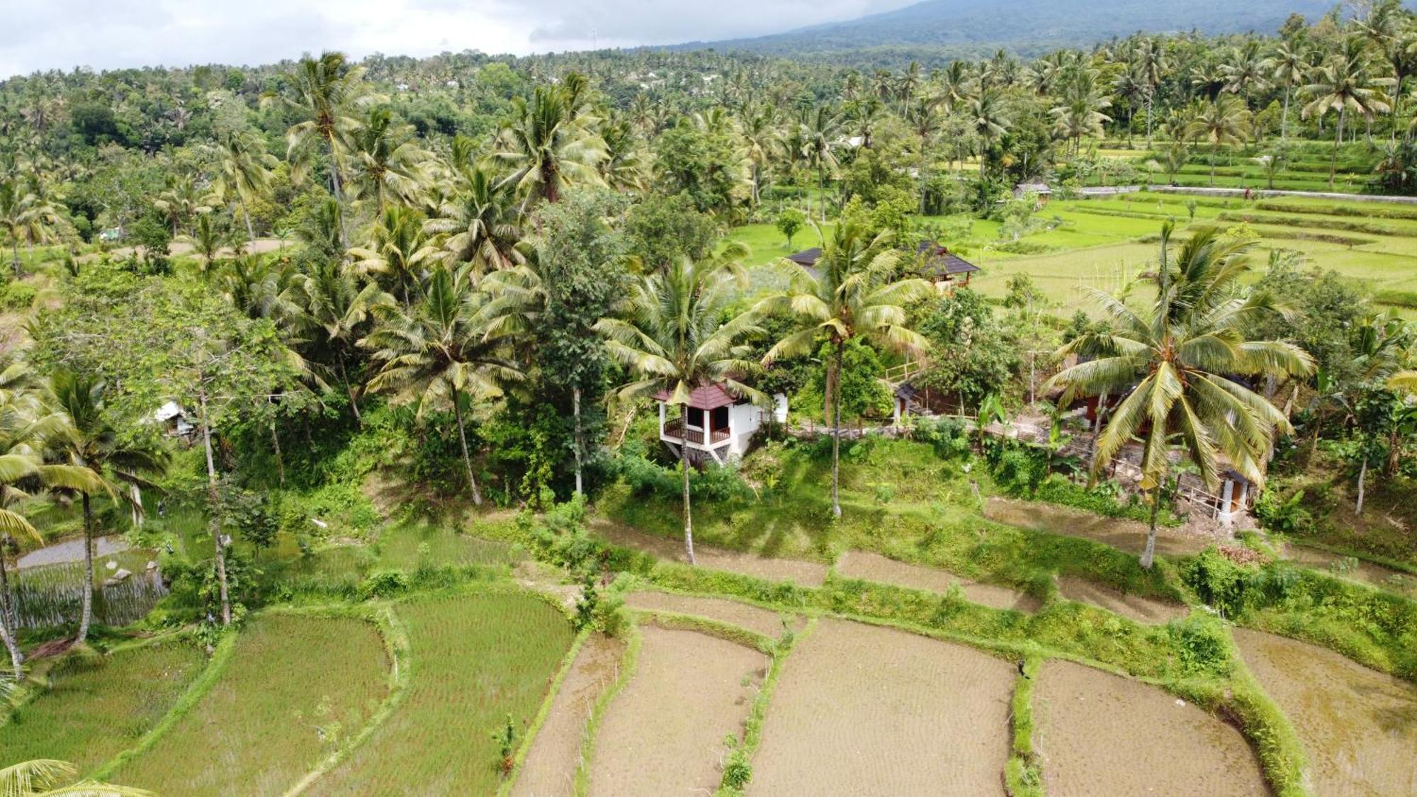 Nea Cottage Lombok Tetebatu Kültér fotó