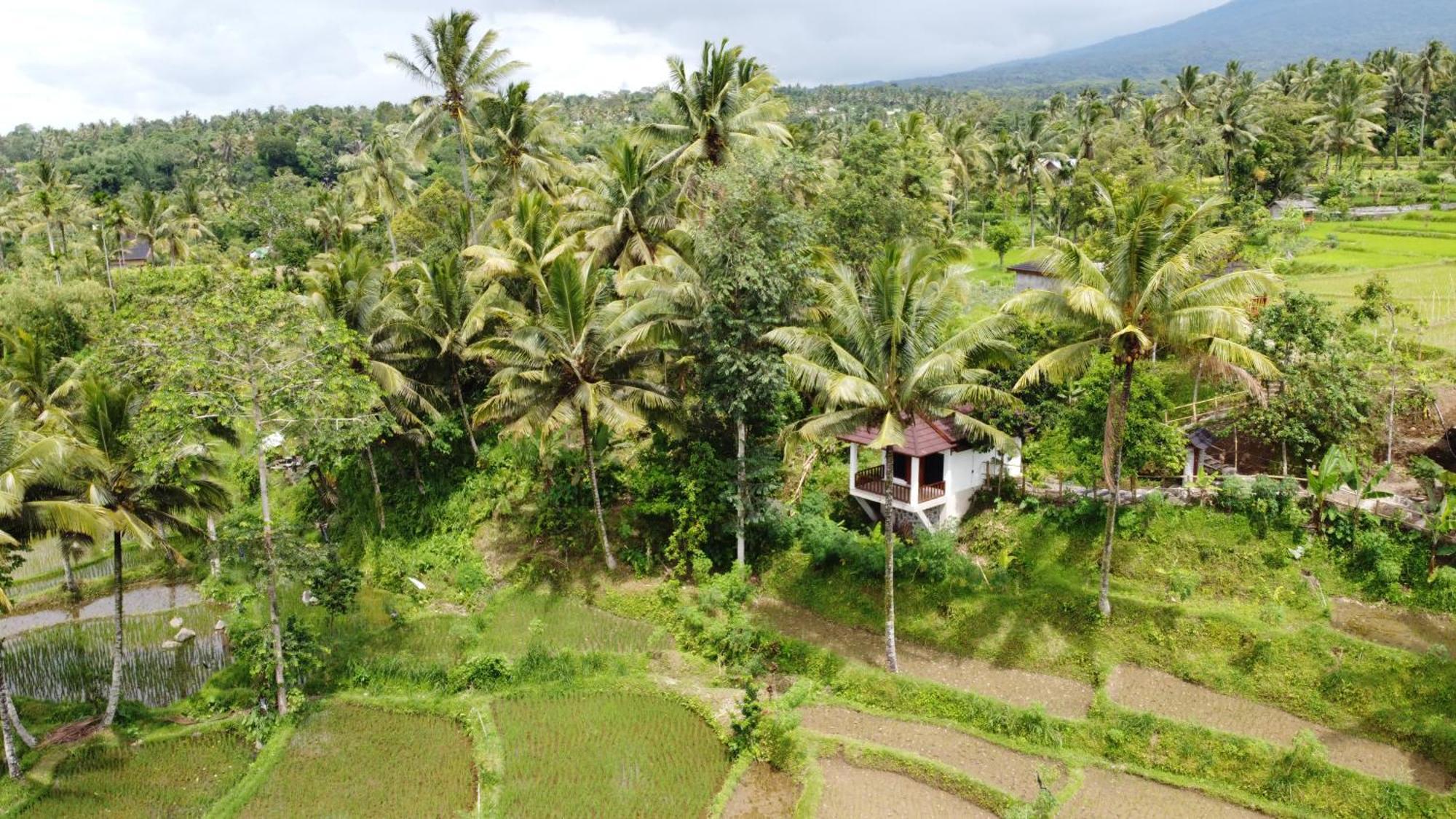 Nea Cottage Lombok Tetebatu Kültér fotó