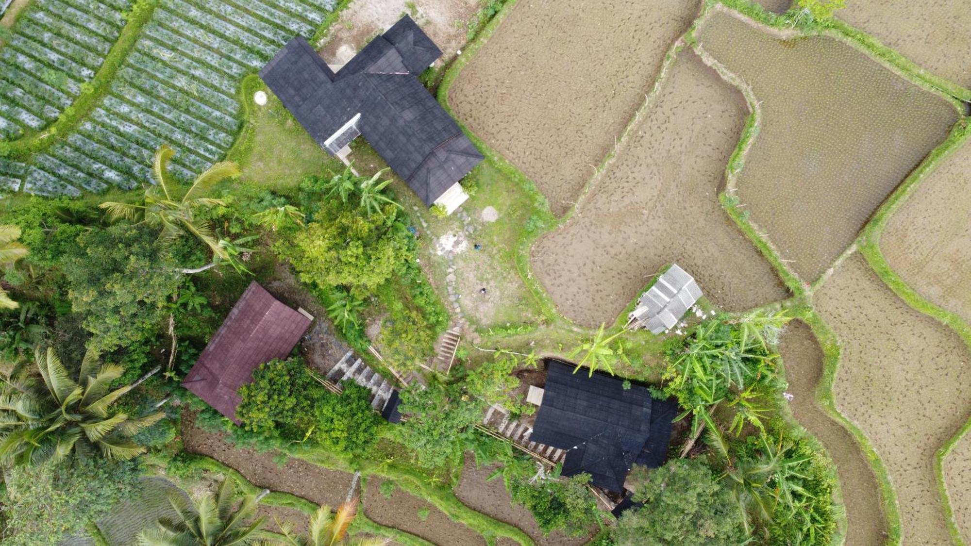 Nea Cottage Lombok Tetebatu Kültér fotó