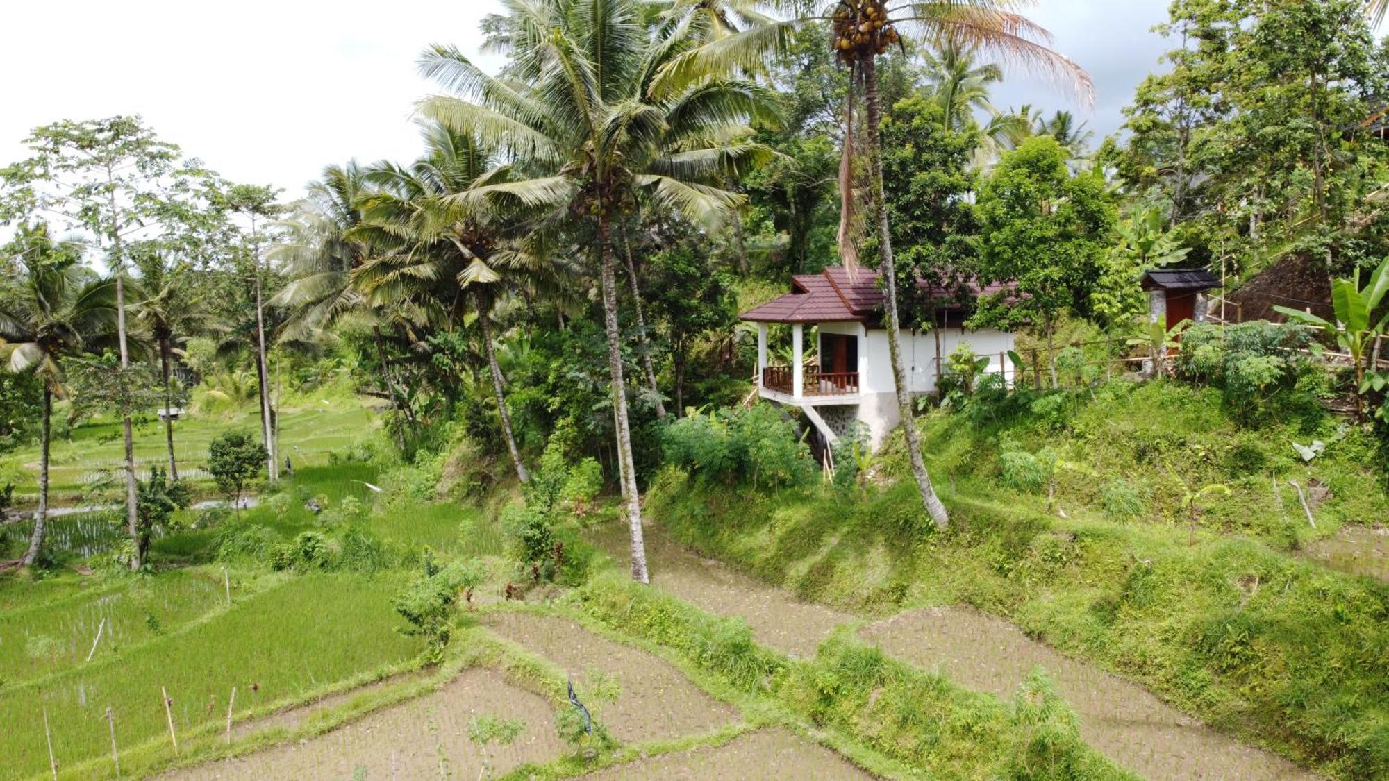 Nea Cottage Lombok Tetebatu Kültér fotó