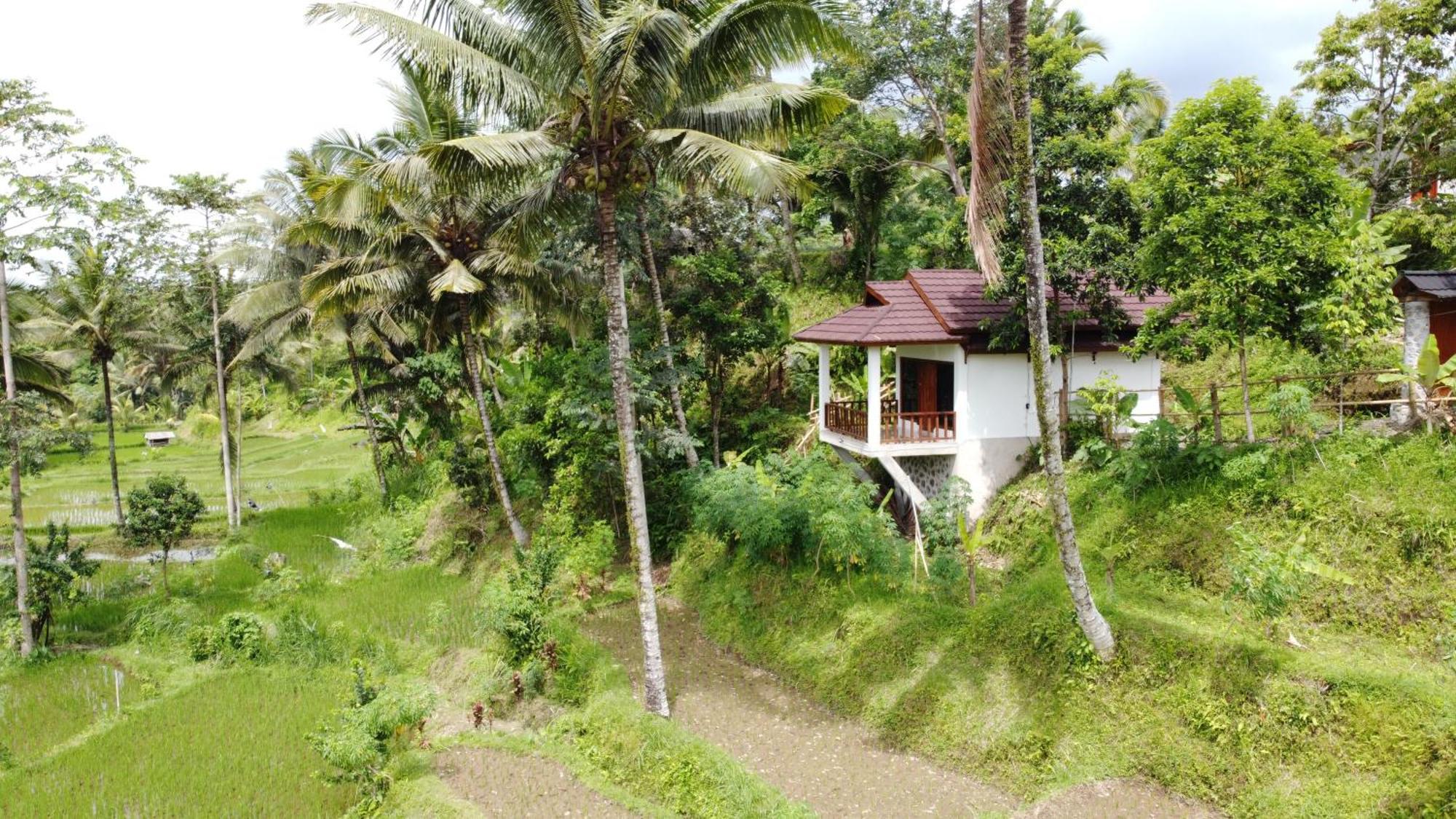 Nea Cottage Lombok Tetebatu Kültér fotó