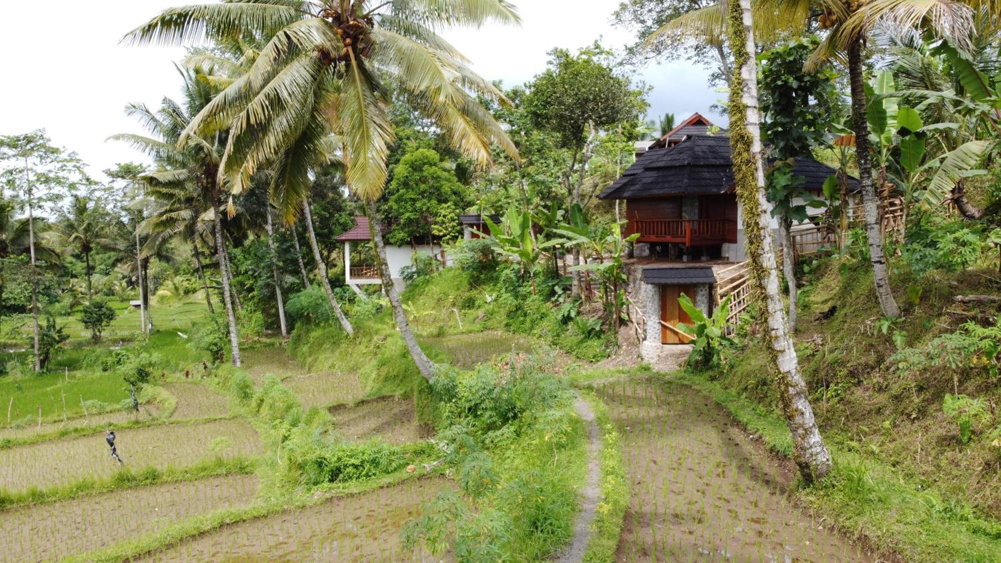 Nea Cottage Lombok Tetebatu Kültér fotó