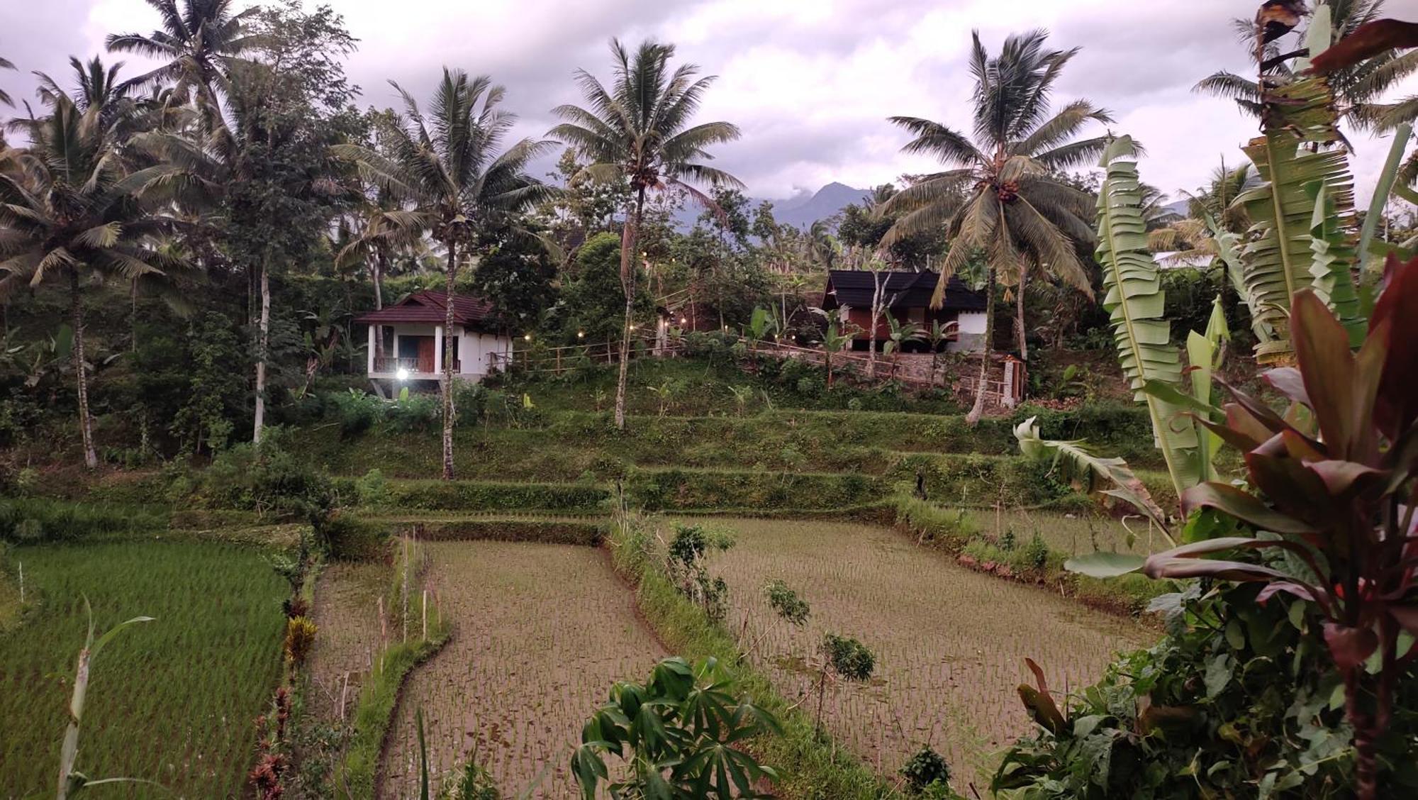 Nea Cottage Lombok Tetebatu Kültér fotó