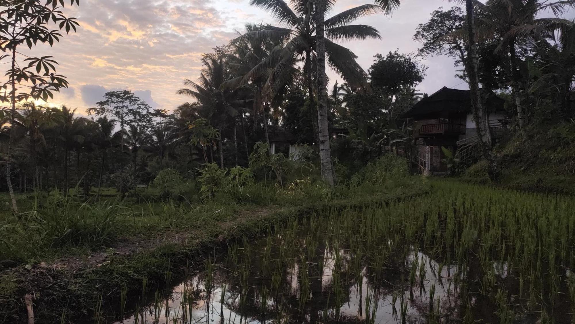 Nea Cottage Lombok Tetebatu Kültér fotó