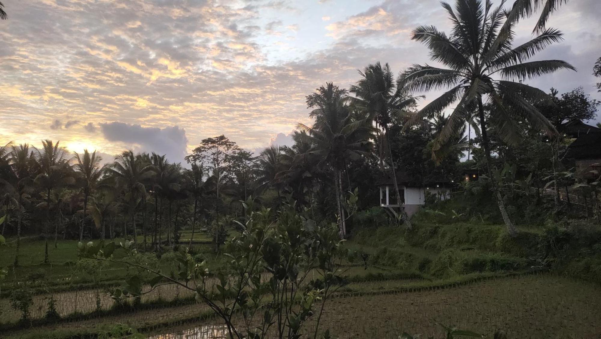Nea Cottage Lombok Tetebatu Kültér fotó