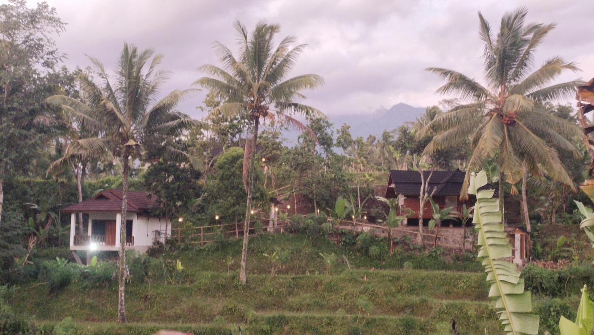 Nea Cottage Lombok Tetebatu Kültér fotó
