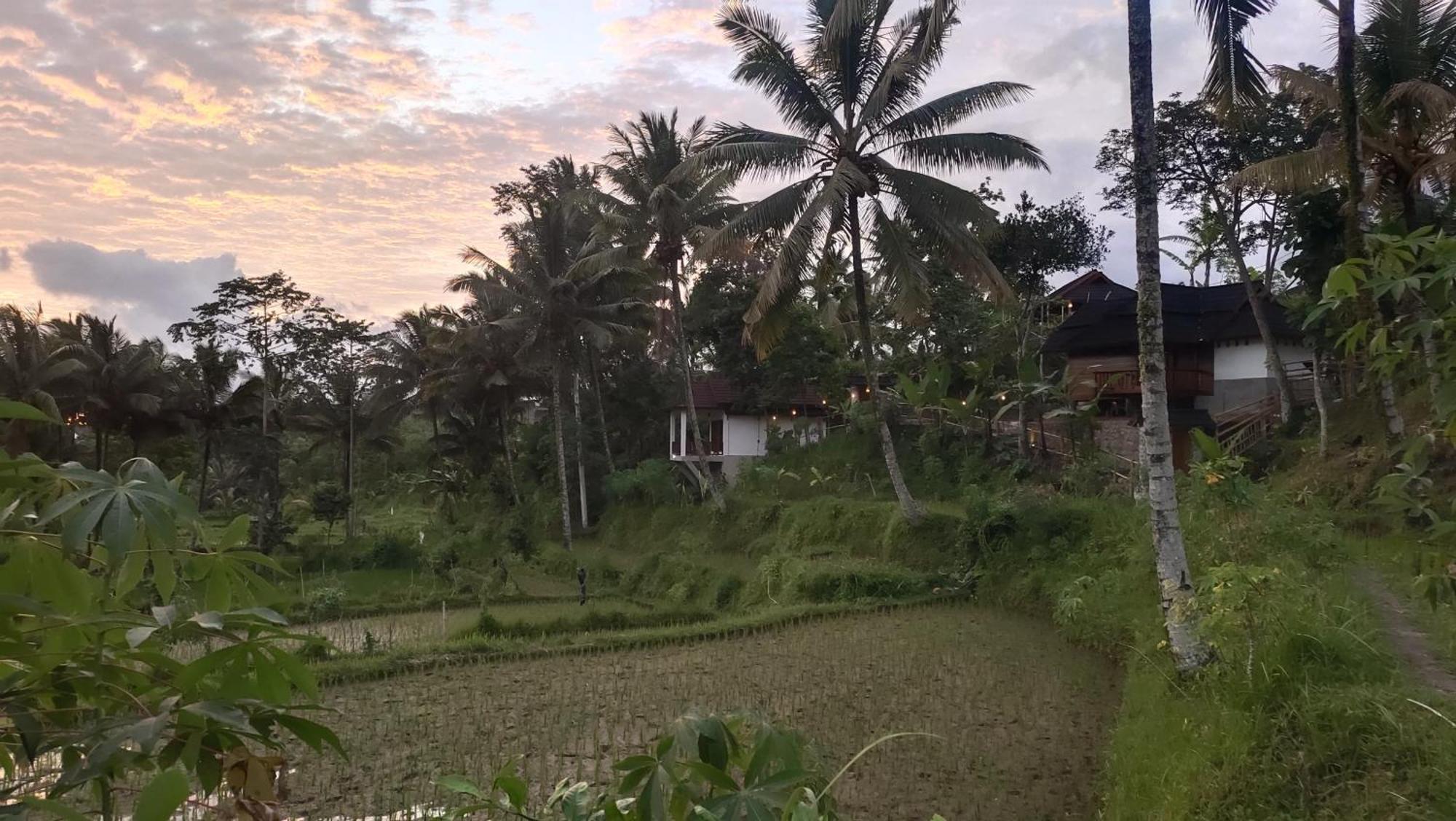 Nea Cottage Lombok Tetebatu Kültér fotó